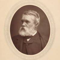 Tom Taylor