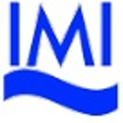 International Maritime Institute