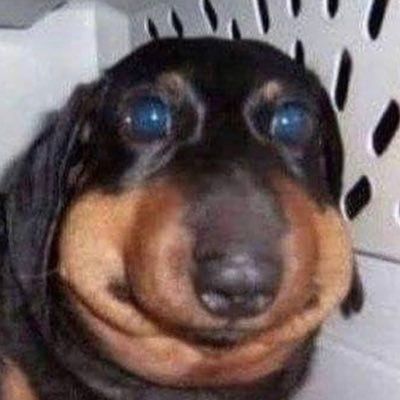 Valentina Mejia - Performer, Actor, Dancer, Singer | StageAgent