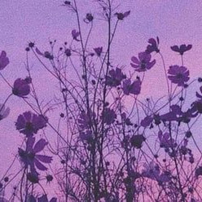 Violet Metoyer