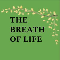 Beginner's Quiz for The Breath of Life