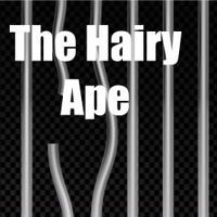 Beginner's Quiz for The Hairy Ape