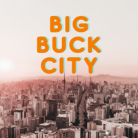 Beginner's Quiz for Big Buck City