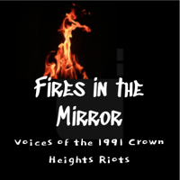 Beginner’s Quiz for Fires in the Mirror
