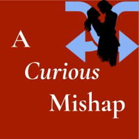 Beginner's quiz for A Curious Mishap