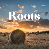 Beginner's Quiz for Roots