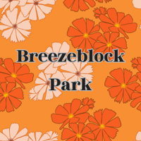 Beginner's Quiz for Breezeblock Park