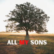 All My Sons Notes  PDF