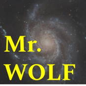 Mr. Wolf logo