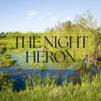 The Night Heron logo