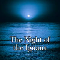 The Night of the Iguana logo