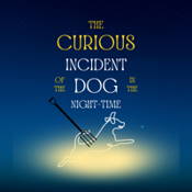 The Curious Incident of the Dog in the Night-Time logo