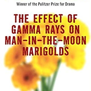 The Effect of Gamma Rays on Man-in-the-Moon Marigolds